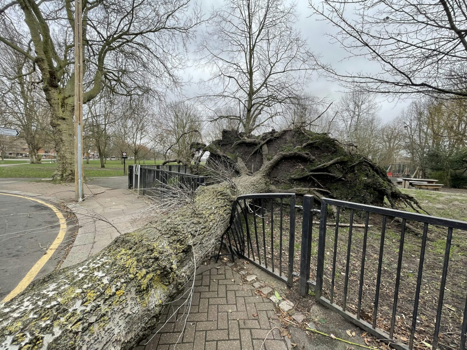 Fallen tree branches on residential roof after storm damage